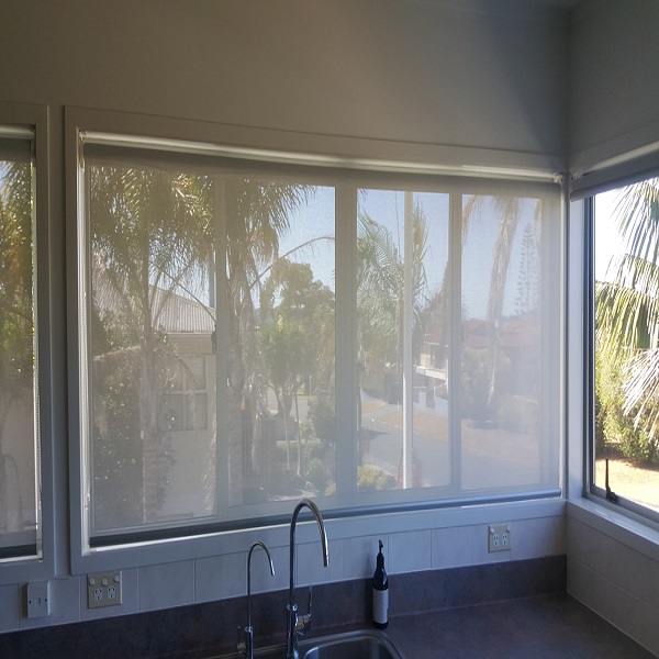Sunscreen Blinds 2