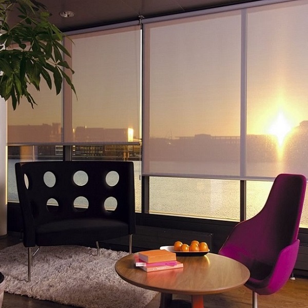 Sunscreen Blinds 3