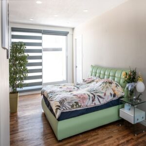 Zebra blinds