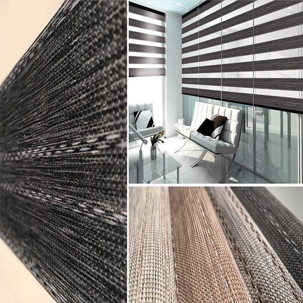 Zebra blinds 16